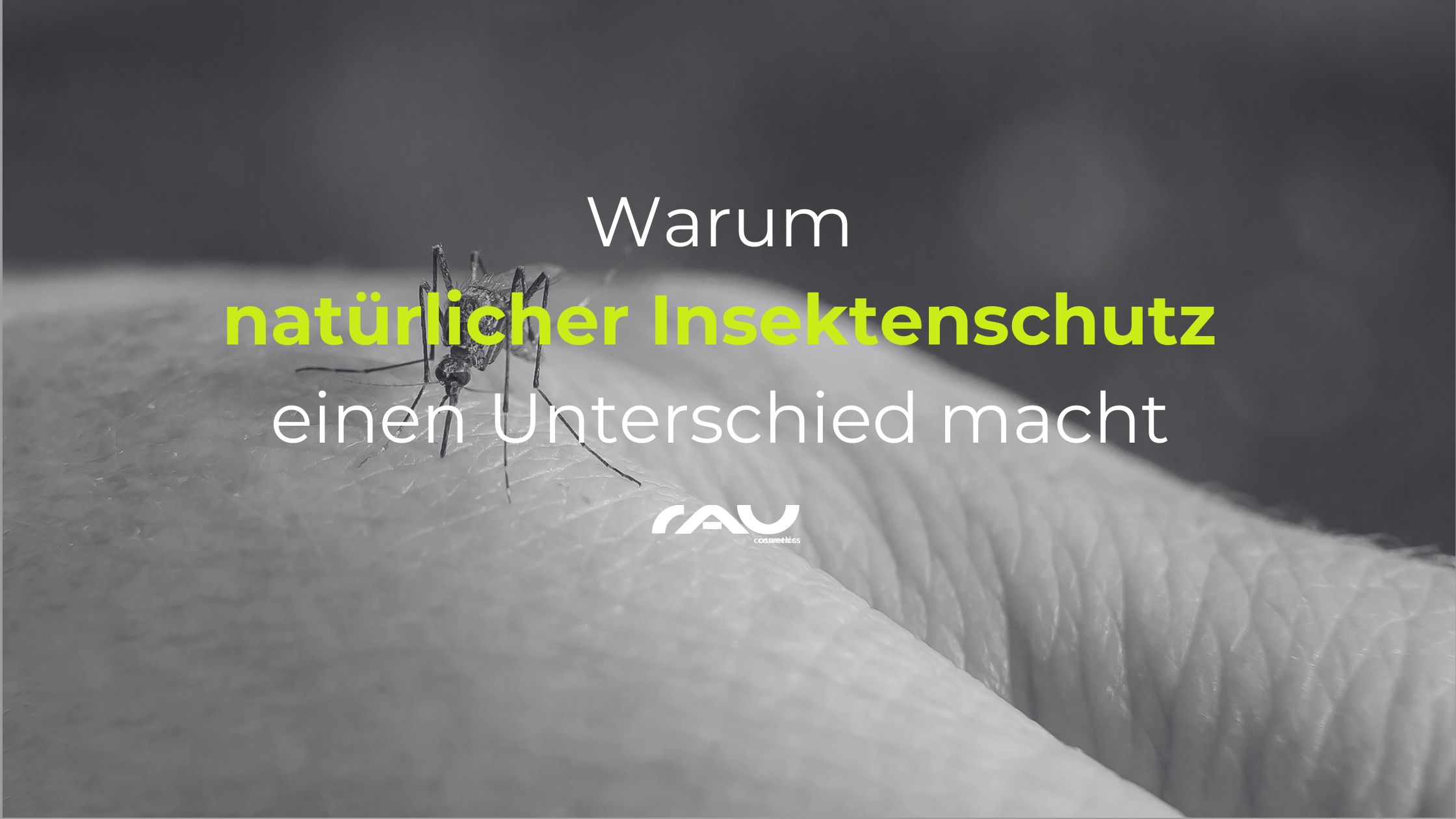 RAU_Warum naturlicher Insektenschutz einen Unterschied macht Tier, Insekt, Wirbellose, Mücke