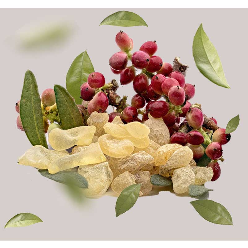 wilde-pistazie Wilde Pistazienfrüchte und Harze mit grünen Blättern, dargestellt in einer ansprechenden Anordnung, für die Mattifying Ampullen von RAU Cosmetics.