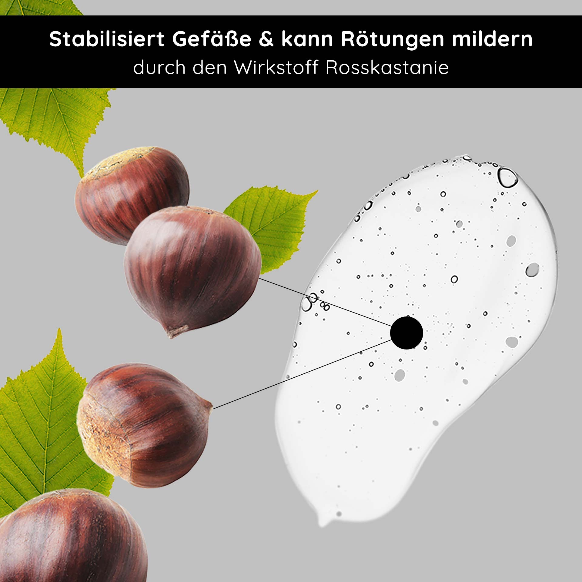 Sérum anti-couperose 200 ml pour la rosacée Anti-Redness Couperose Serum mit Rosskastanienextrakt, stabilisiert die Gefäße und reduziert Rötungen, mit sichtbaren Kastanien und grünen Blättern vor neutralem Hintergrund.