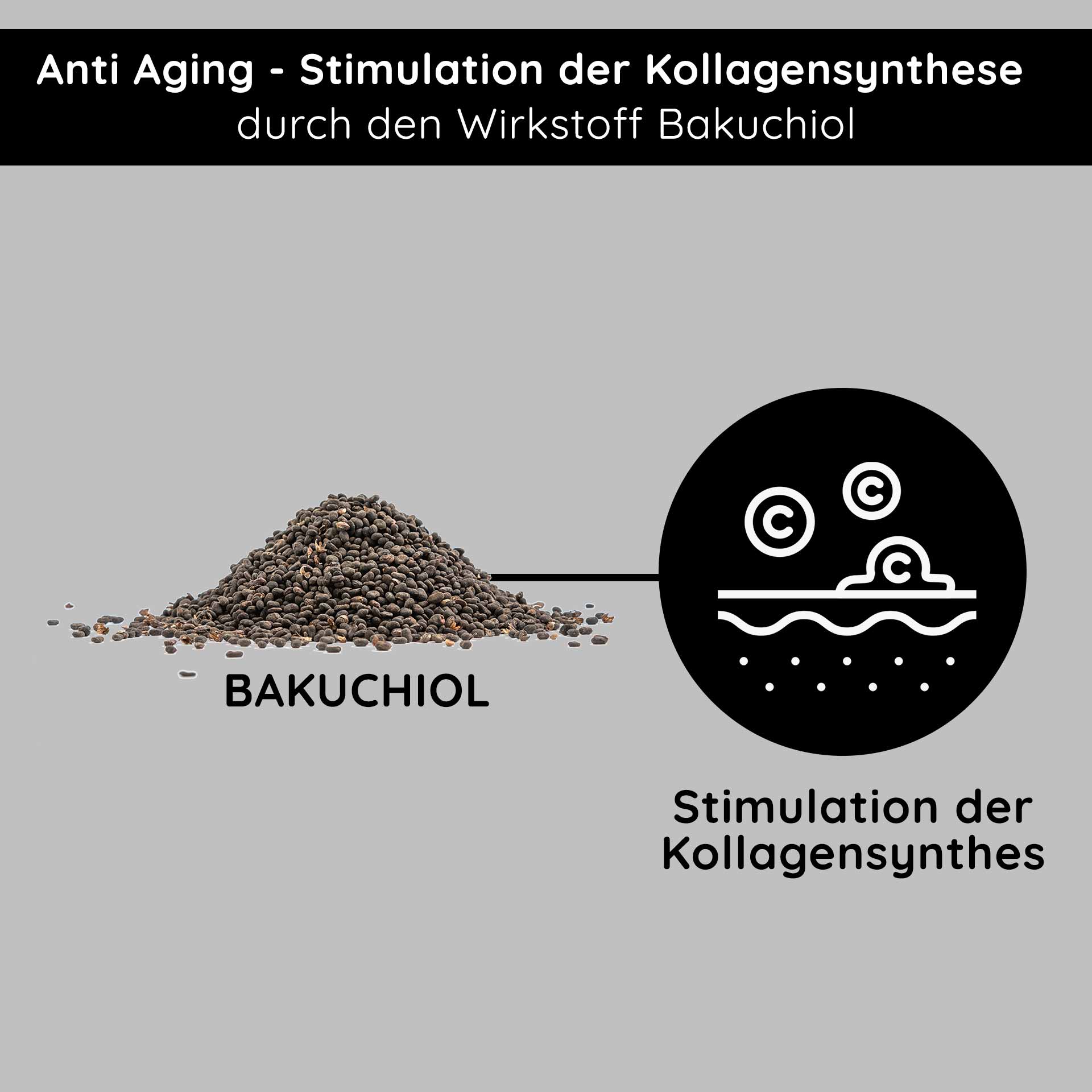 Résistez au vieillissement ! Crème riche au bakuchiol 50 ml Crème de nuit Bakuchiol-Pulver für Anti-Aging, stimuliert die Kollagensynthese, mit Text „Anti Aging – Stimulation der Kollagensynthese durch den Wirkstoff Bakuchiol.“