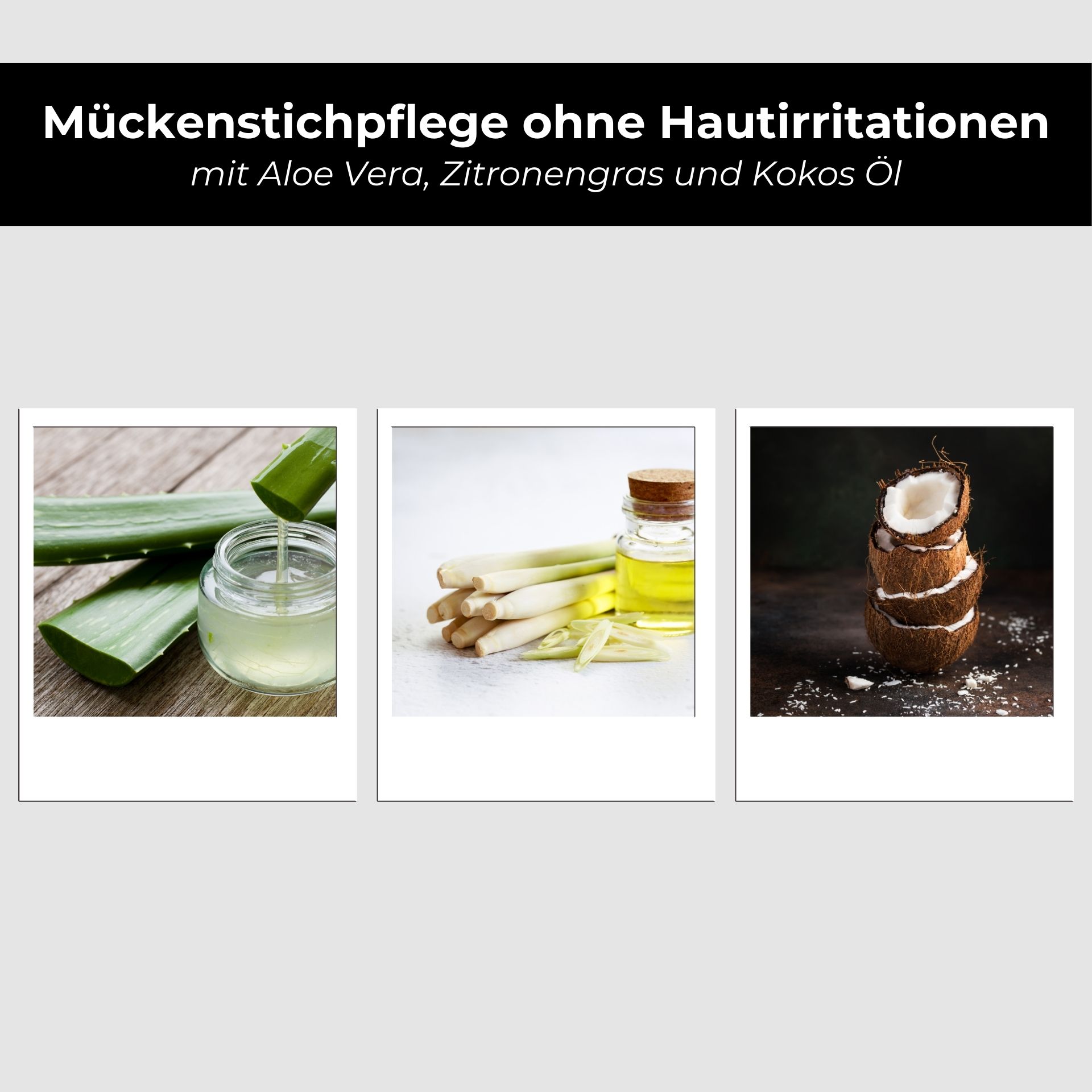 RAU Mosquito Set - Roll-On anti-piqûre & soin anti-piqûre Essen, Obst, Pflanze, Produzieren