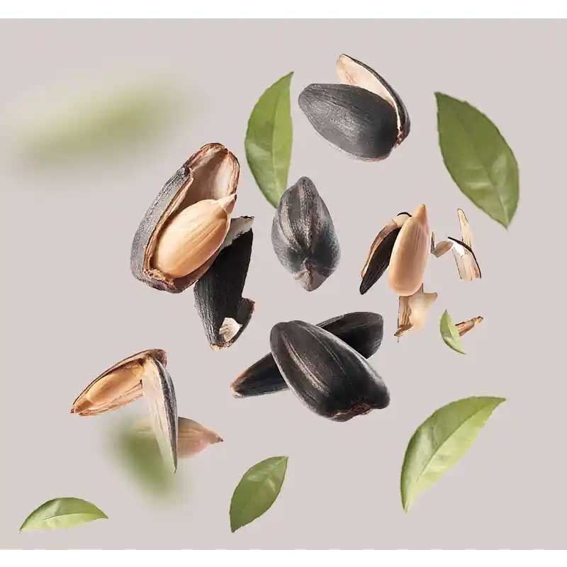 Sonnenblumenöl Sonnenblumenöl